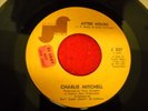 Charlie Mitchell After Hours xover on Janus