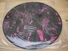 Dissection The Past Is Alive picture disc very good condition RARE metal