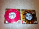 Dead To Me - Off With Their Heads - Riverboat Gamblers pink nofx flatliners