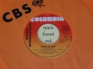 BRUCE SPRINGSTEEN - Born To Run -  CANADA - Columbia   45