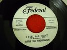 Little Joe Washington Bossa Nova & Grits promo Federal