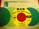 The Willows My Kinda Guy northern soul promo MGM