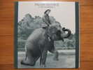 PAULINE OLIVEROS  THE WANDERER   EXPERIMENTAL CLASSIC LP