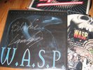 V RARE WASP STILL NOT BLACK ENOUGH SIGNED PICTURE DISC LP IN PS
