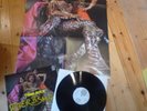 TIGER B. SMITH TIGER ROCK 1972 MINT SWIRLI WITH POSTER