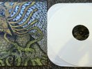 Circle Takes The Square  As The Root Undo. RARE WHITE VINYL SCREAMO