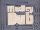 ** THE REVOLUTIONARIES - MEDLEY DUB on HIGH NOTE LP **