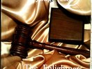THE ENLIGHTNERS 