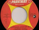 Northern Soul Christine Cooper Heartaches Away My Boy Original US Parkway label
