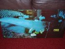 FREE Tons Of Sobs LP 1969 ISLAND 1st Press SUPERB