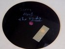 MENTAL AS ANYTHING ESPRESSO BONGO ORIGINAL ACETATE FULL LP 2ND.CUT,UNUSED 1 ONLY