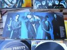DIED PRETTY-TRACE VINYL AUSTRALIA LP RADIO BIRDMEN