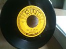 James Cotton  Hold Me In Your Arms SUN 206  Rockabilly Blues Bop