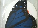 saves the day i'm sorry i'm leaving 7 inch BLUE BUTTERFLY -  RARE