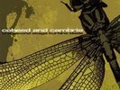 COHEED AND CAMBRIA SECOND STAGE WHITE VINYL