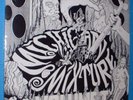 LP-Michigan Mixture Vol.1 60's garage punk psych comp