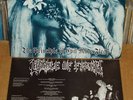 CRADLE OF FILTH The principle of evil LP 1994 DIMMU BORGIR DARKTHRONE MAYHEM VON