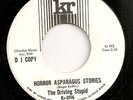 THE DRIVING STUPID Horror Asparagus Stories 1-sided record HEAR