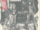 RAMONES Sheena Is a Punk Rocker DJ Promo NM 45 RPM + Picture Sleeve HEAR IT PUNK