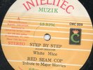 White Mice - Step By Step - Original Press Intelitec Muzik 12 Inch