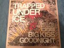 Trapped Under Ice BKG record release, rival mob, madball, lockin out, have heart