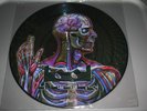 very rare Tool promo LATERALUS brand new PICTURE DISC 12