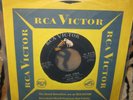 original Rock'n'Roll 45 DAVID HILL Wild Child RCA 1958