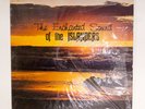 The Enchanted Sounds of The Islanders LP rare hawaii surf exotica No Resrve Auc