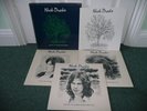 Nick Drake - Fruit Tree(UK 1979 3LP VINYL BOX SET WITH BOOKLET / MINT)