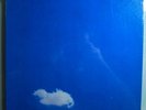 JOHN LENNON (BEATLES) LIVE PEACE STILL SEALED ORIG 1970 APPLE LP WITH CALENDAR