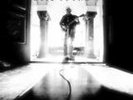 Neil Young  Le noise