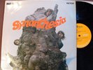 SYNANTHESIA - self titled - VERY RARE sought after - RCA 1969