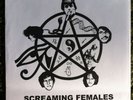 JEFF The Brotherhood “Bone Jam” TEST PRESSING Screaming Females split 7”