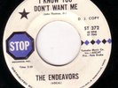 FUNK SOUL 45 ENDEAVORS I KNOW YOU DONT WANT ME/SHATTERED REAMS STOP 372 DJ