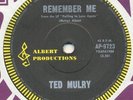 TED MULRY / STEVE RYDER*remember me*IN-DEMAND PSYCH POP DANCER*sitar*LISTEN