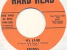 FRIENDS*my land*PRIVATE US HARD PSYCH + MOODY FLIP*ex+ cond*LISTEN