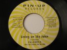 PALEMINA Living On Sky Juice PIN UP 7