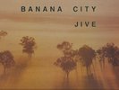 SIPHO GUMEDE  SOUTH AFRICA  LP  BANANA CITY JIVE  SEALED