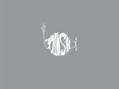 Phish The White Tape LP Record Store Day Rare