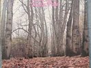 Twink Think Pink original 1970 recording  Polydor 2343 032 very rare