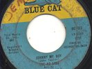 NORTHERN SOUL Ad Libs - Johnny My Boy LISTEN