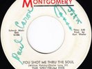 Garage 45 - The Spectrum Five - Montgomery - mp3