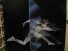 Enter Cybotron Fantasy Promo 1st Press NM Vinyl LP