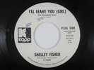 Funk 45 SHELLEY FISHER I'll Leave You Girl on Kapp WLP