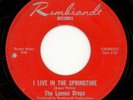 THE LEMON DROPS-