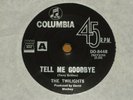 THE TWILIGHTS *RARE 7