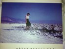 Pinback  Blue Screen Life Clear Vinyl 2lp OOP Rare Ace Fu records