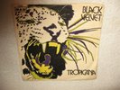 BLACK VELVET   Tropicana -ORIG 1ST TURKISH PRESS      1971  PSYCH FUNK