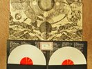 Fleet Foxes  White Vinyl Double album 
