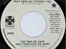 Northern Soul 45 TWO TONS OF LOVE What Good Am I HEAR